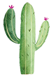 Cactus icon