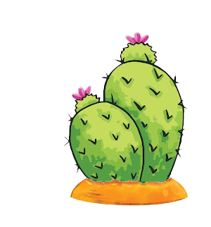 Cactus icon